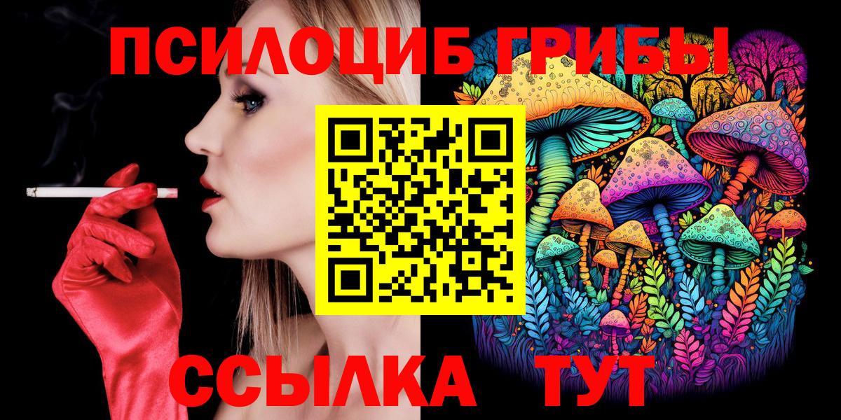 Галлюциногенные грибы Psilocybine cubensis Павлово