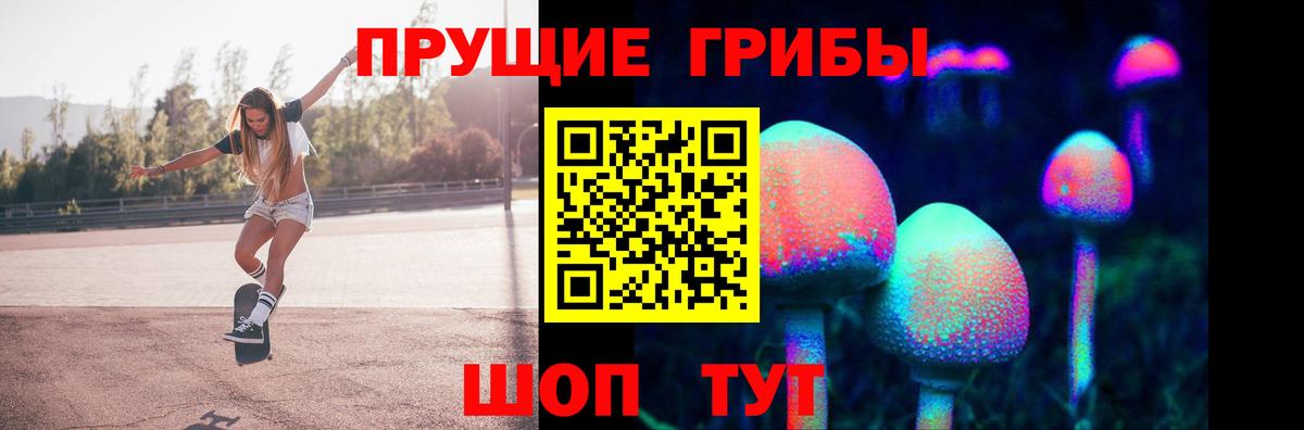 Павлово  продажа наркотиков  Вход с VPN  Псилоцибиновые грибы ЛСД  Галлюциногенные грибы Magic Shrooms 